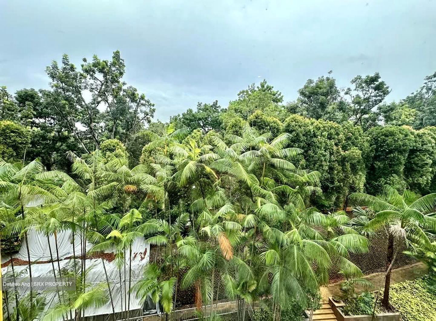 Savannah Condopark (D18), Condominium #581969931